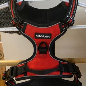 COPY - Red Dog Harness